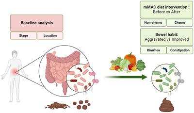 The impact of a modified microbiota-accessible carbohydrate diet on gut microbiome and clinical symptoms in colorectal cancer patients following surgical resection